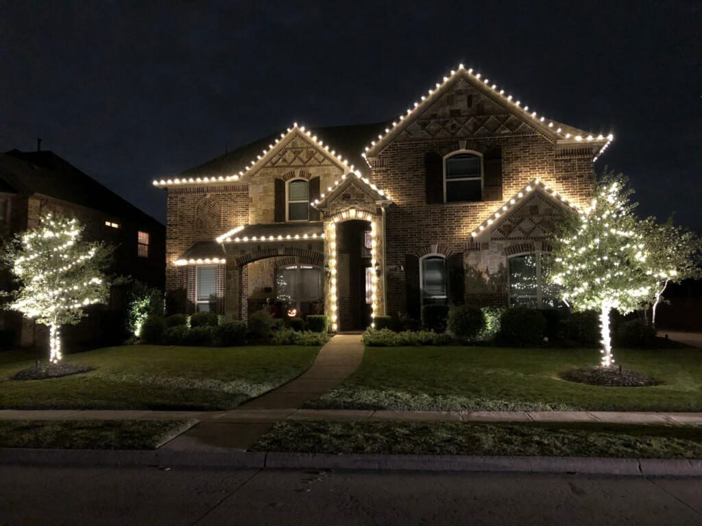 Holiday lighting on two trees flanking a front walkway